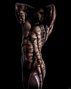 "Acacia ARM5" Abstract Photograph 60" x 48" in Limited Ed. 1/4 by Giuliano Bekor