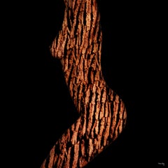 "Acacia ARW11-TR" Fotografia astratta 48 "x48" in edizione 1/4 di Giuliano Bekor