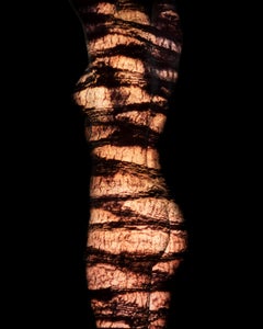 "Acacia ARW14" Fotografia astratta 60 "x48" in edizione 1/4 di Giuliano Bekor