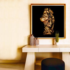 "Acacia ARW4" Abstract Photography 40" x 40" in Edition 1/4 by Giuliano Bekor