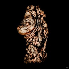 Nude Photography