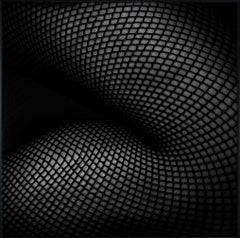 "Art of Fishnet AOF09" Photography 40" x 40" in Edition of 10 by Giuliano Bekor