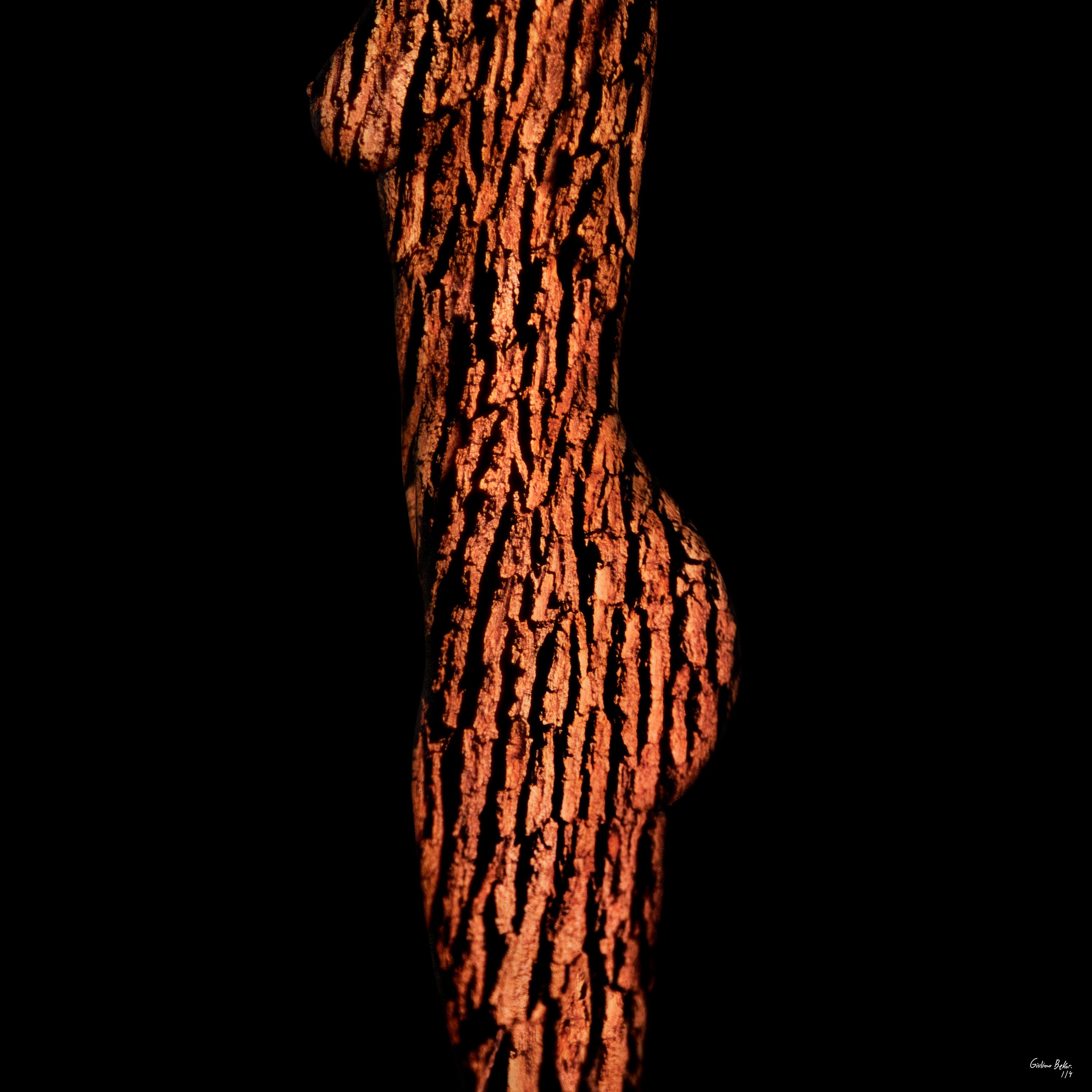 „ARW11T-LMR Triptychon“ Abstrakte Fotografie 24