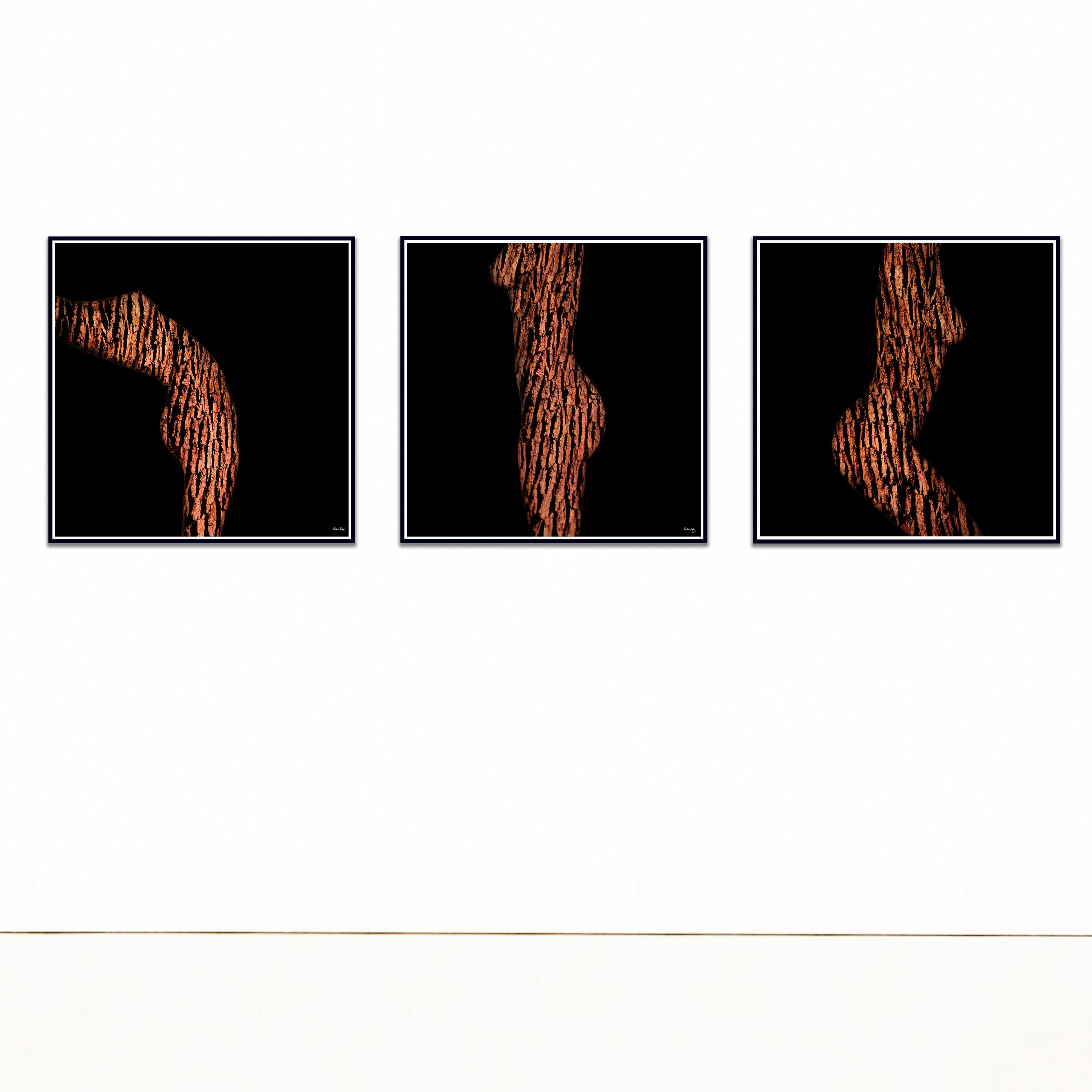 „ARW11T-LMR Triptychon“ Abstrakte Fotografie 24
