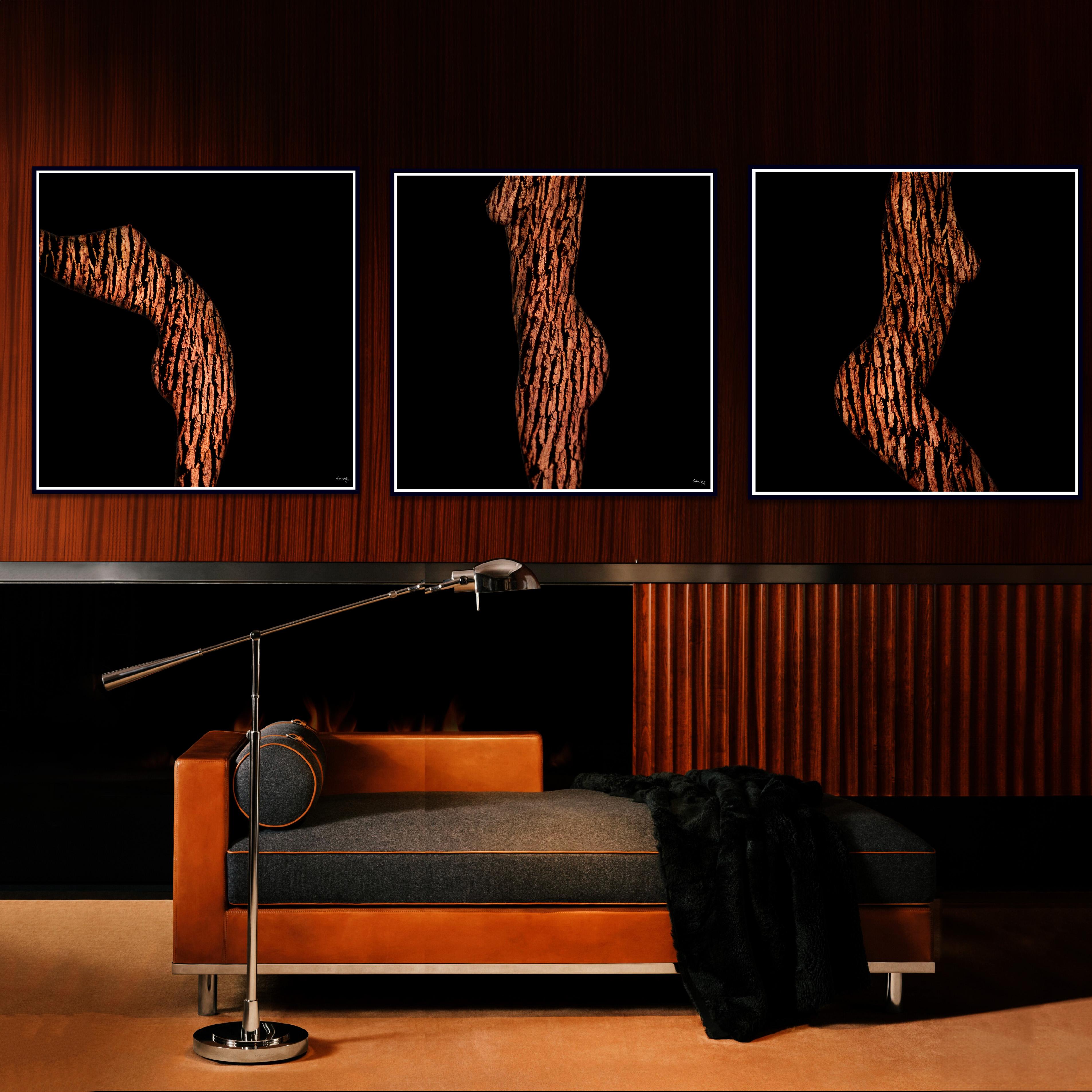 „ARW11T-LMR Triptychon“ Abstrakte Fotografie 24