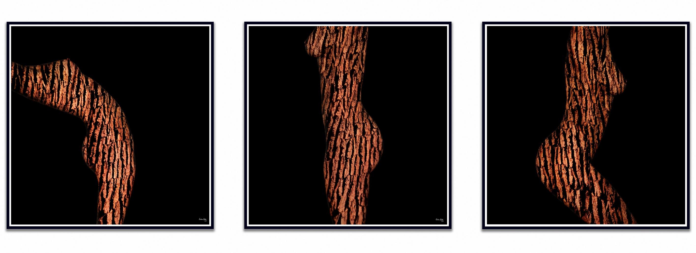„ARW11T-LMR Triptychon“ Abstrakte Fotografie 24"x24" in Ed. 1/4 von Giuliano Bekor

Serie Acacia
Titel des Kunstwerks: ARW11T-LMR Triptychon
Jahr: 2020
Gedruckt auf hochwertigem Archiv-Fotopapier in Museumsqualität. Nicht gerahmt.
Druckgröße: Jeder