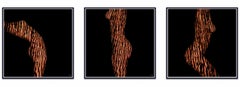 "ARW11T-LMR Trittico" Fotografia astratta 24 "x24" in Ed. 1/4 di Giuliano Bekor