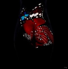 "Butterfly 12" (FRAMED) Photography 16" x 16" in Edition 1/20 by Giuliano Bekor