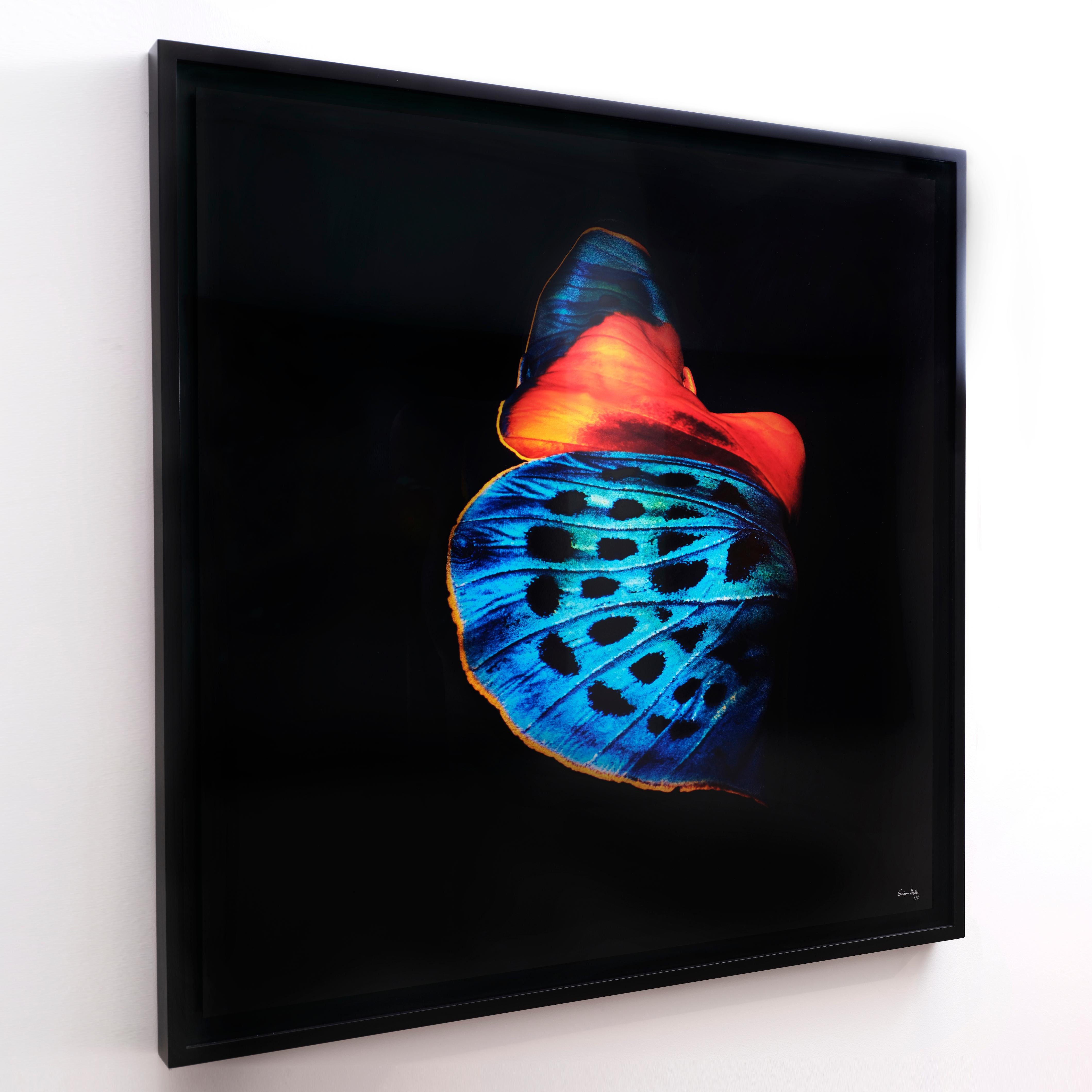 "Butterfly 13" (FRAMED) Photography 40" x 40" in Edition 1/8 by Giuliano Bekor

Title: Butterfly B13
Year: 2018
Print size: 40" x 40" Inch
Framed size: 42" x 42" Inch 
Edition: 1/8
Artist proof: 2

Medium:  
The artwork is printed on Archival fine