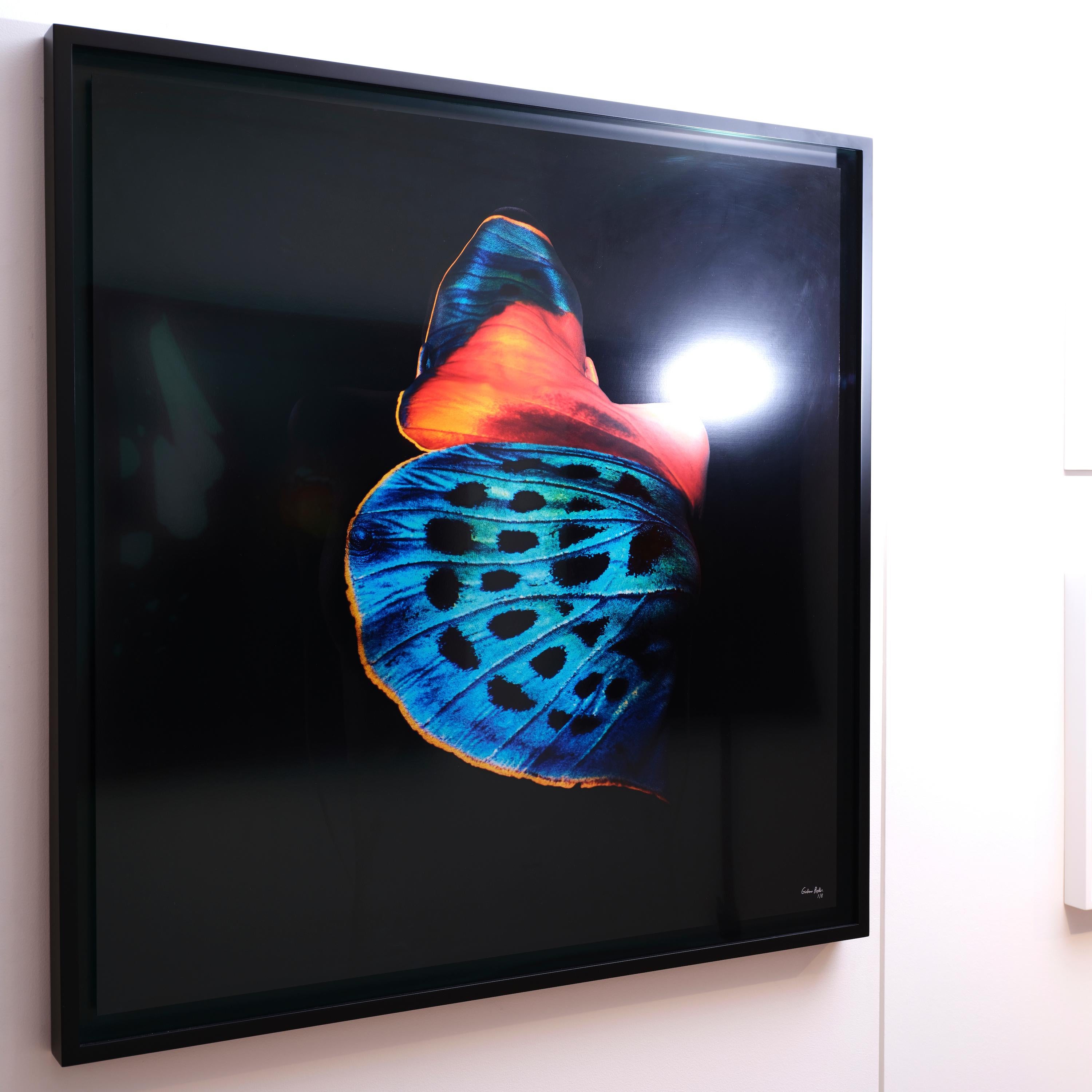 „Schmetterling 13“ (FRAMED) Fotografie 40