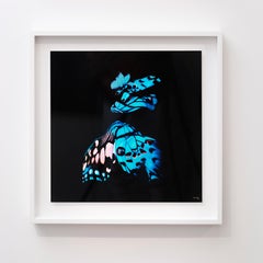 "Butterfly 14" (FRAMED) Photography 16" x 16" in Edition 1/20 by Giuliano Bekor