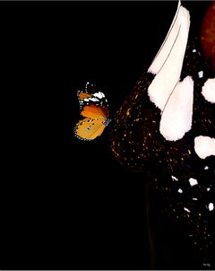 "Butterfly 16" (FRAMED) Fotografia 52" x 42" in edizione 1/8 di Giuliano Bekor