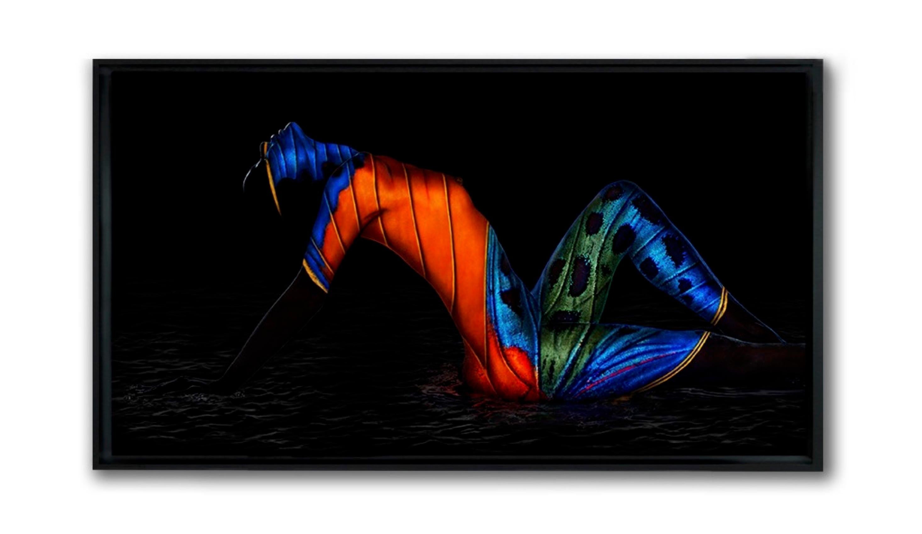 „Schmetterling 20“ Fotografie 48“ x 86“ Zoll Auflage 2/10 von Giuliano Bekor im Angebot 1