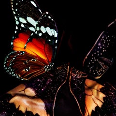 "Butterfly 22" Fotografia (FRAMED) 50" x 50" pollici Edizione 2/8 di Giuliano Bekor
