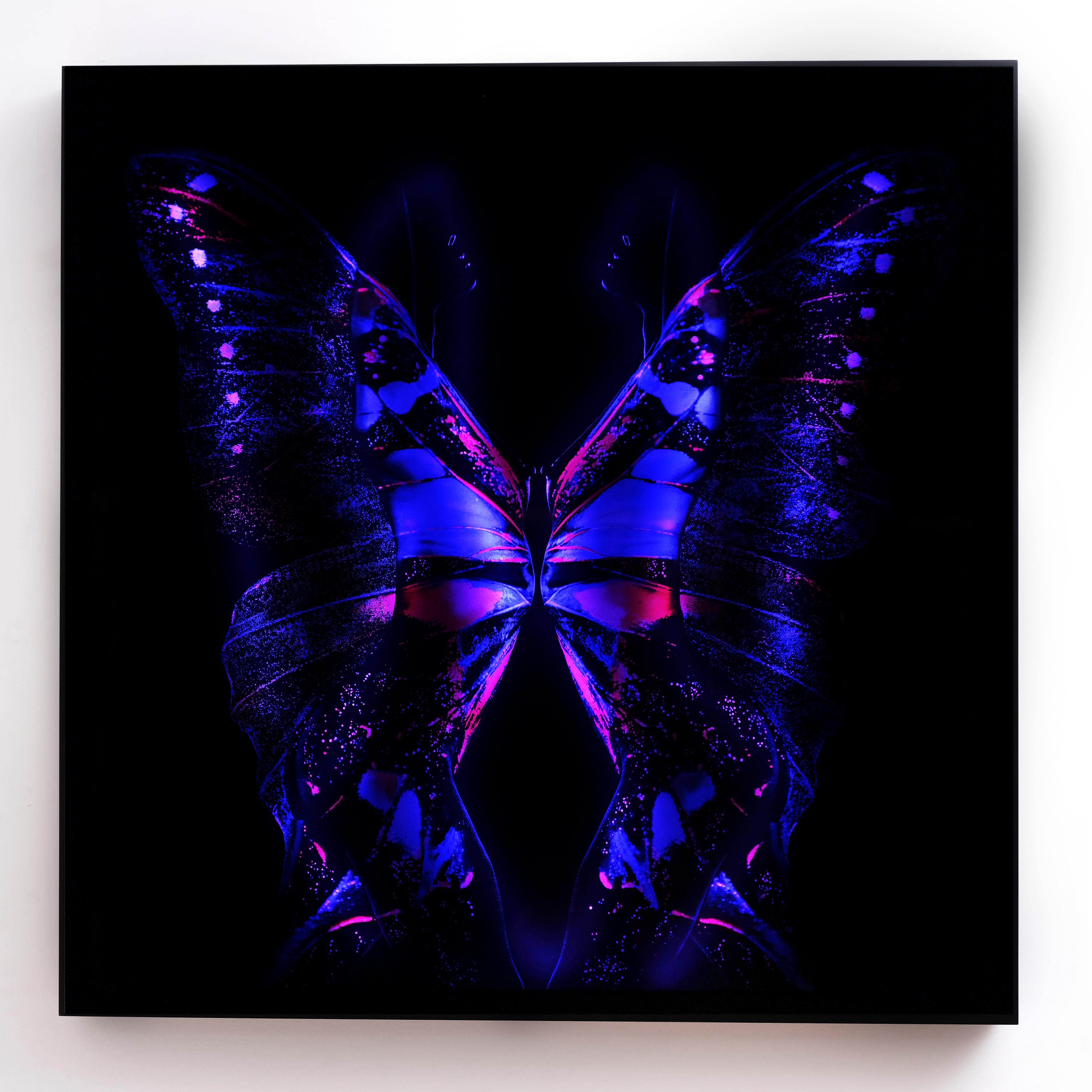 „Schmetterling 24“ LED-Fotografie (FRAMED) 40