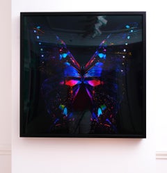"Butterfly 24" LED Photography (FRAMED) 40" x 40" inch Ed. 2/8 by Giuliano Bekor