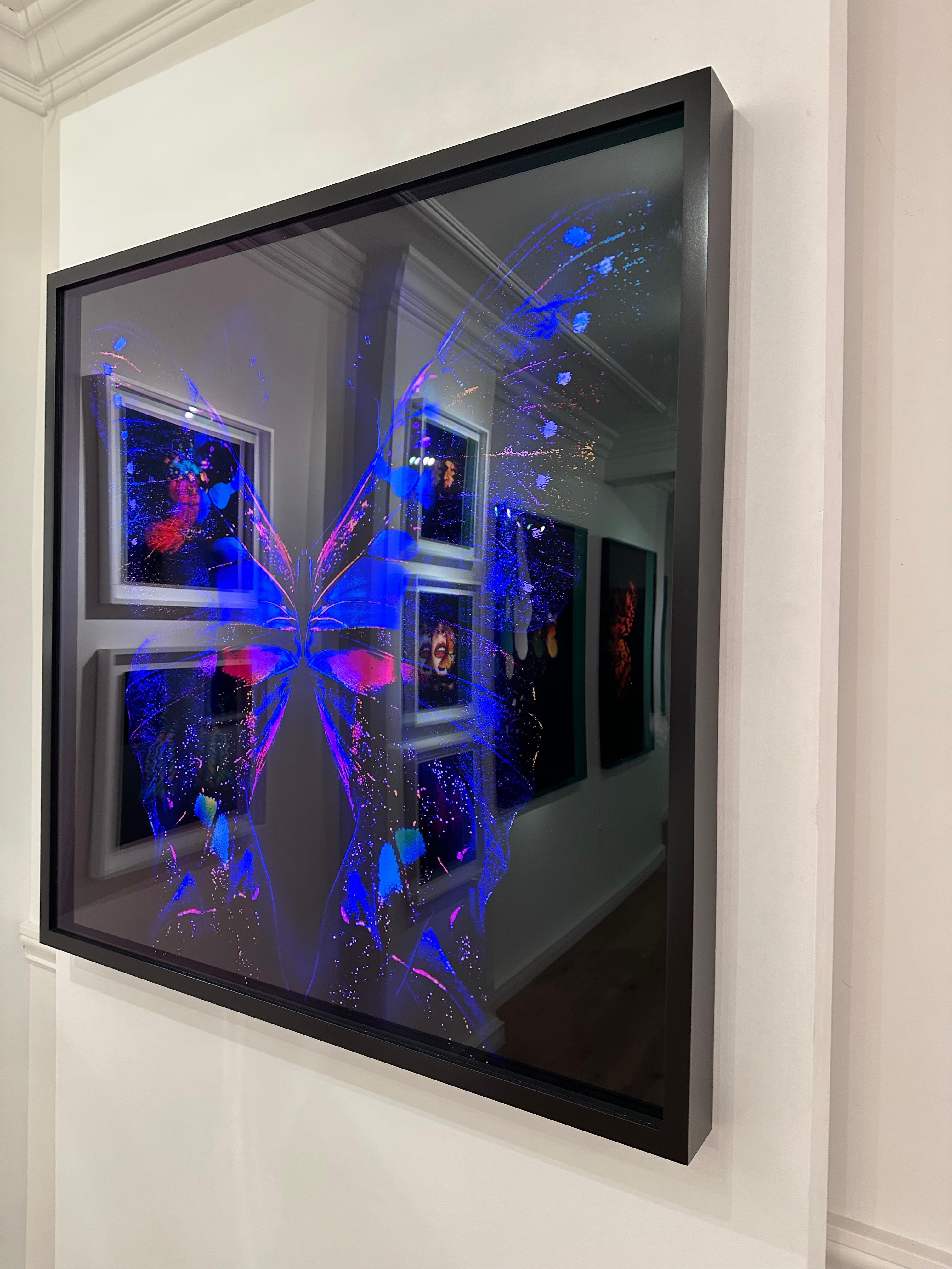 „Schmetterling 24“ LED-Fotografie (FRAMED) 40