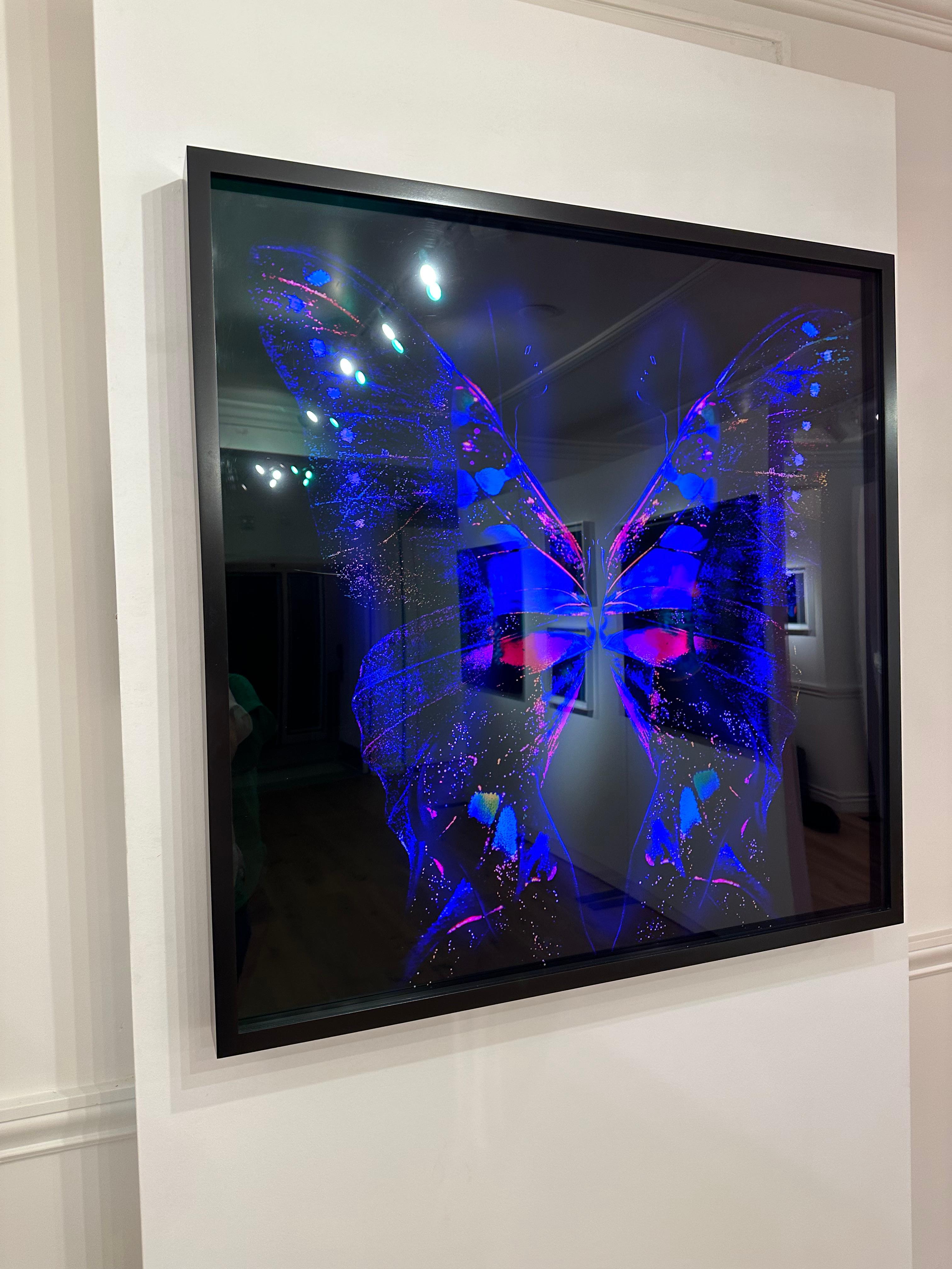 „Schmetterling 24“ LED-Fotografie (FRAMED) 40