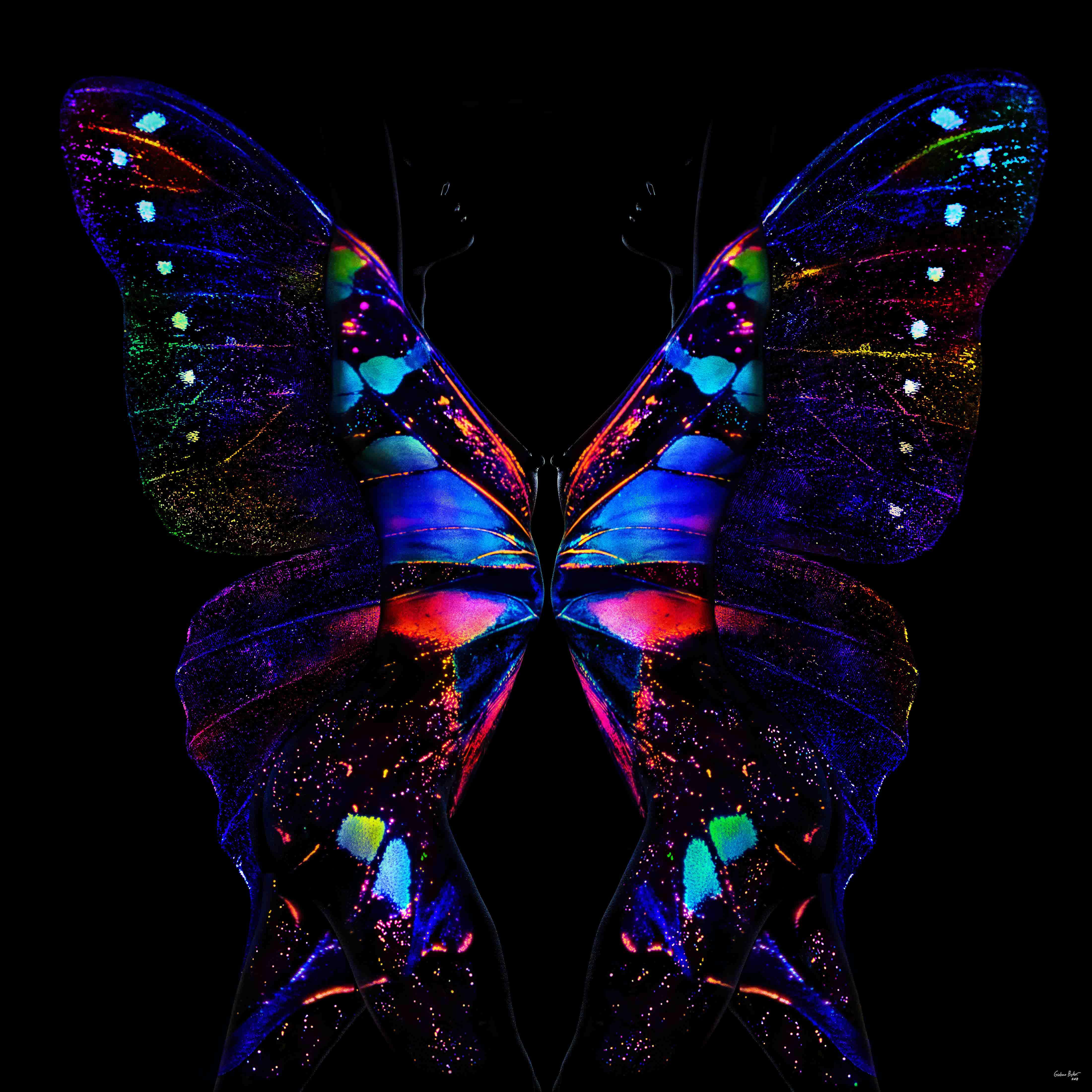 „Schmetterling 24“ LED-Fotografie (FRAMED) 40" x 40" Zoll Ed. 2/8 von Giuliano Bekor