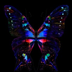 "Mariposa 24" Fotografía LED (ENMARCADA) 40" x 40" pulgadas Ed. 2/8 de Giuliano Bekor