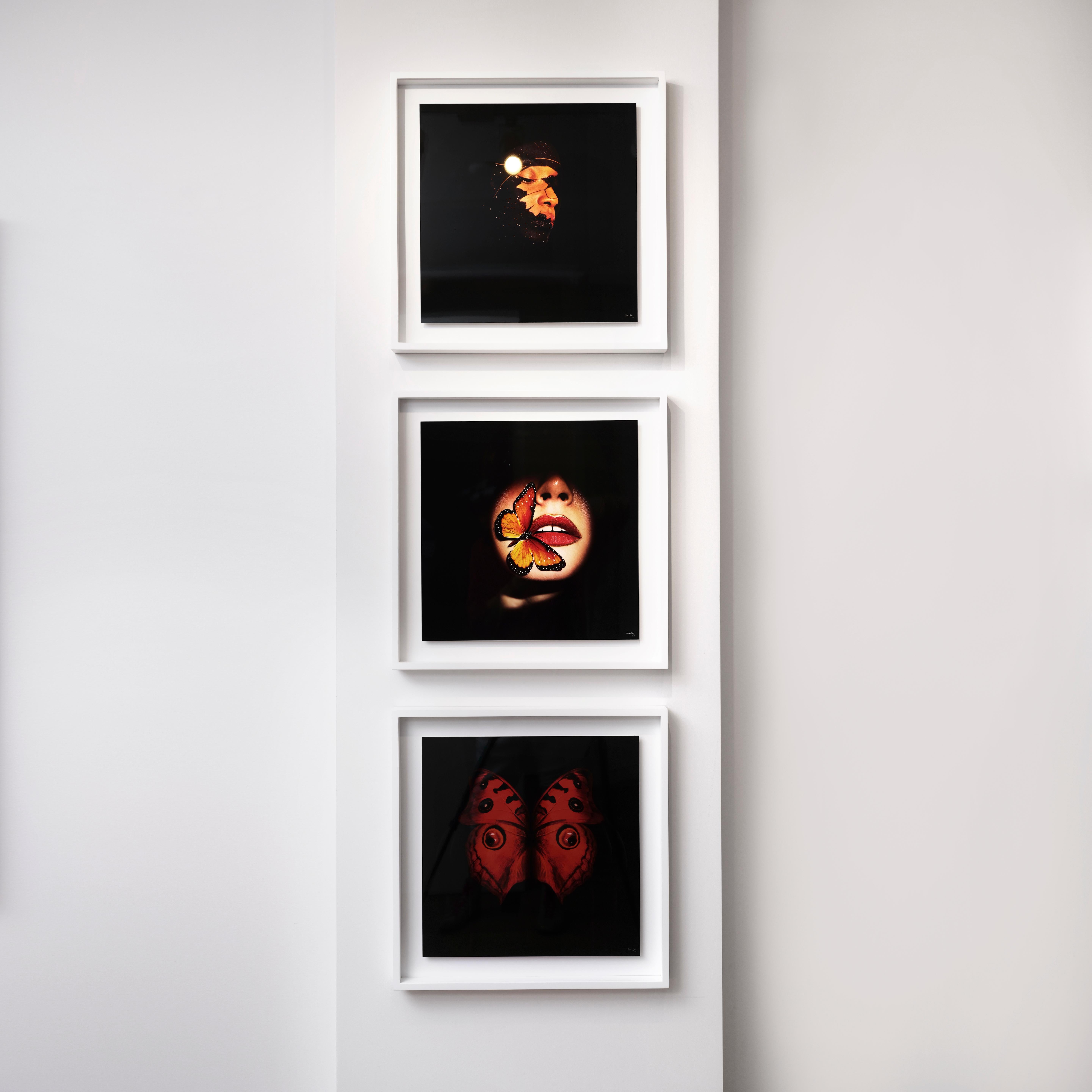 „Schmetterling 25“ Fotografie 24