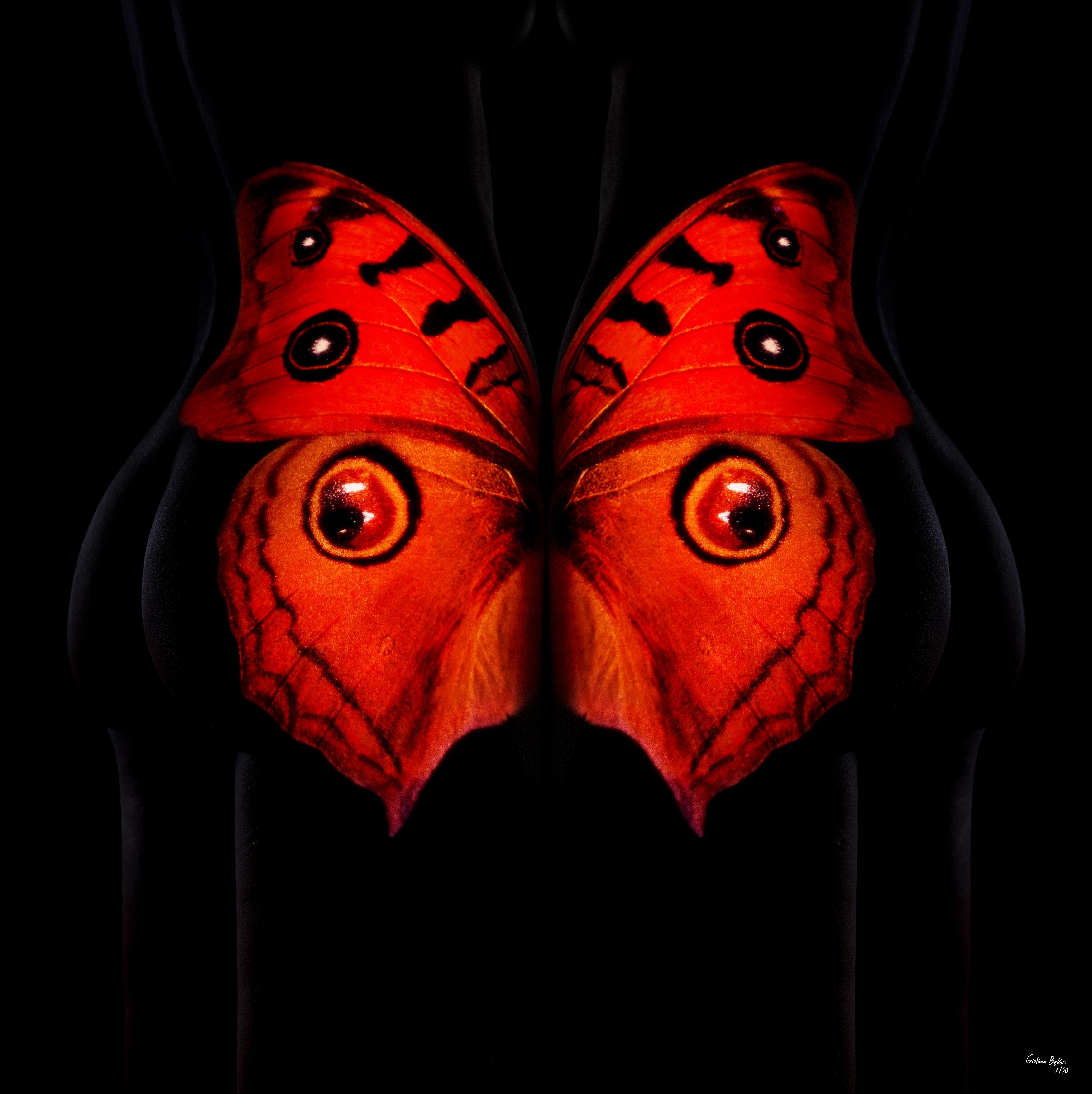 „Schmetterling 25“ (FRAMED) Fotografie 16