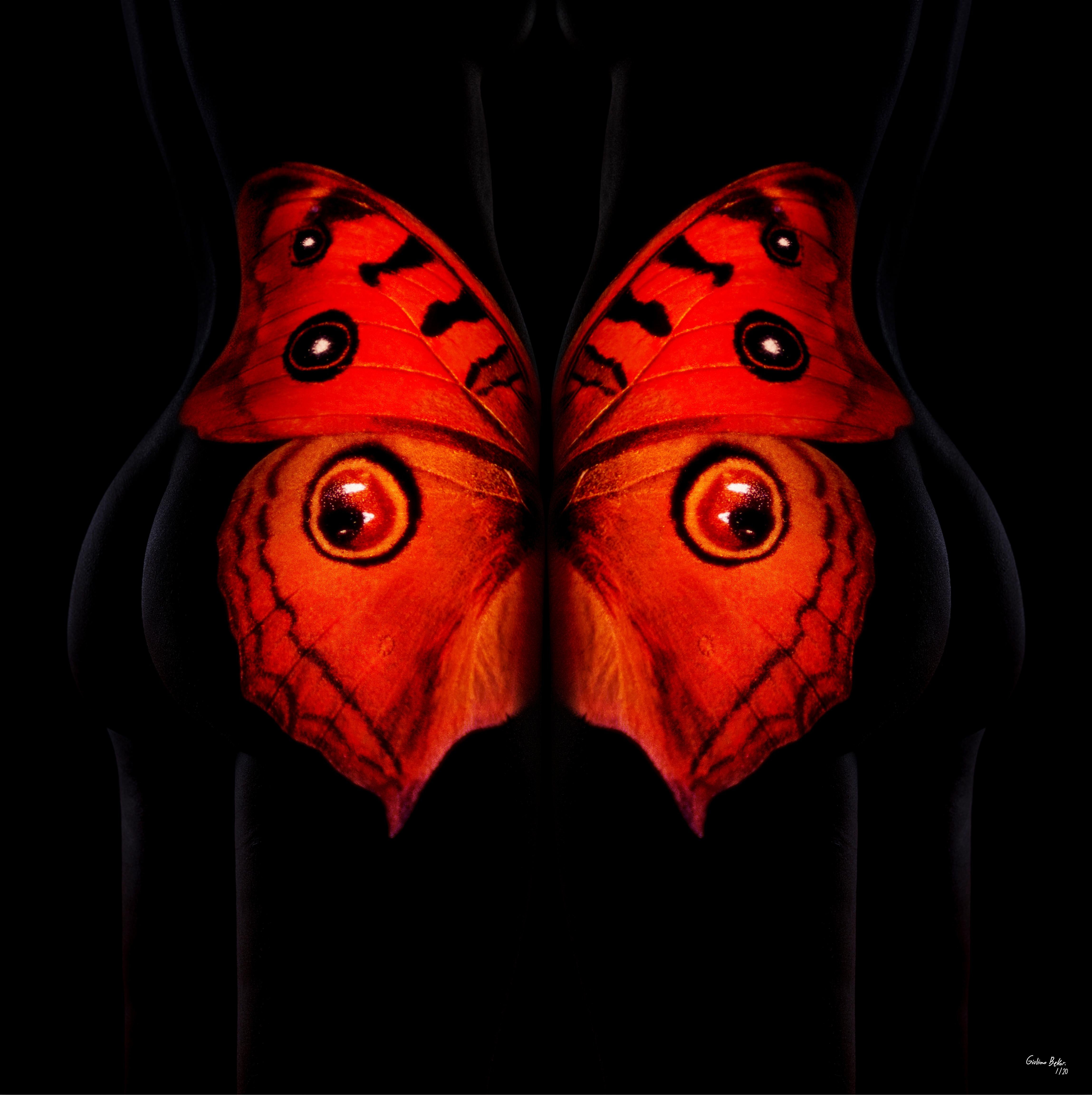 "Mariposa 25" Fotografía 24" x 24" en Edición 1/24 de Giuliano Bekor