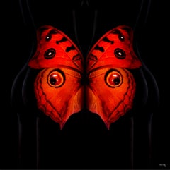 "Mariposa 25" Fotografía 24" x 24" en Edición 1/24 de Giuliano Bekor
