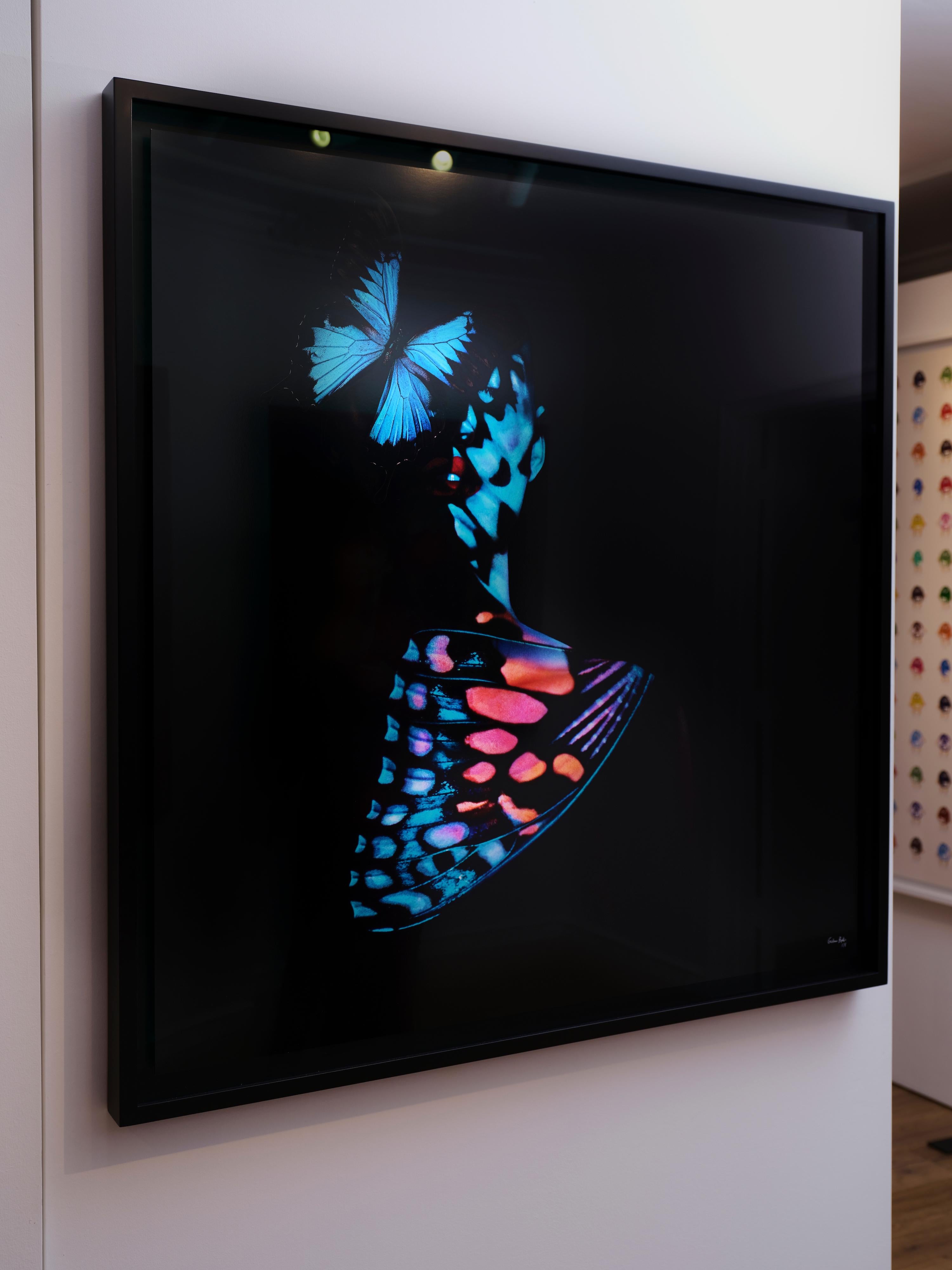 "Butterfly 29" (FRAMED) Photography 40" x 40" in Edition 1/8 by Giuliano Bekor