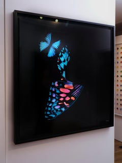 "Butterfly 29" (FRAMED) Photography 40" x 40" in Edition 1/8 by Giuliano Bekor