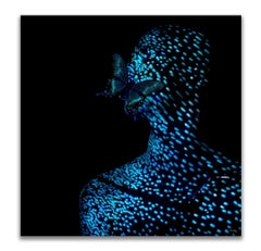 "Butterfly 3" Photography 24" x 24" in Edition 1/24 by Giuliano Bekor