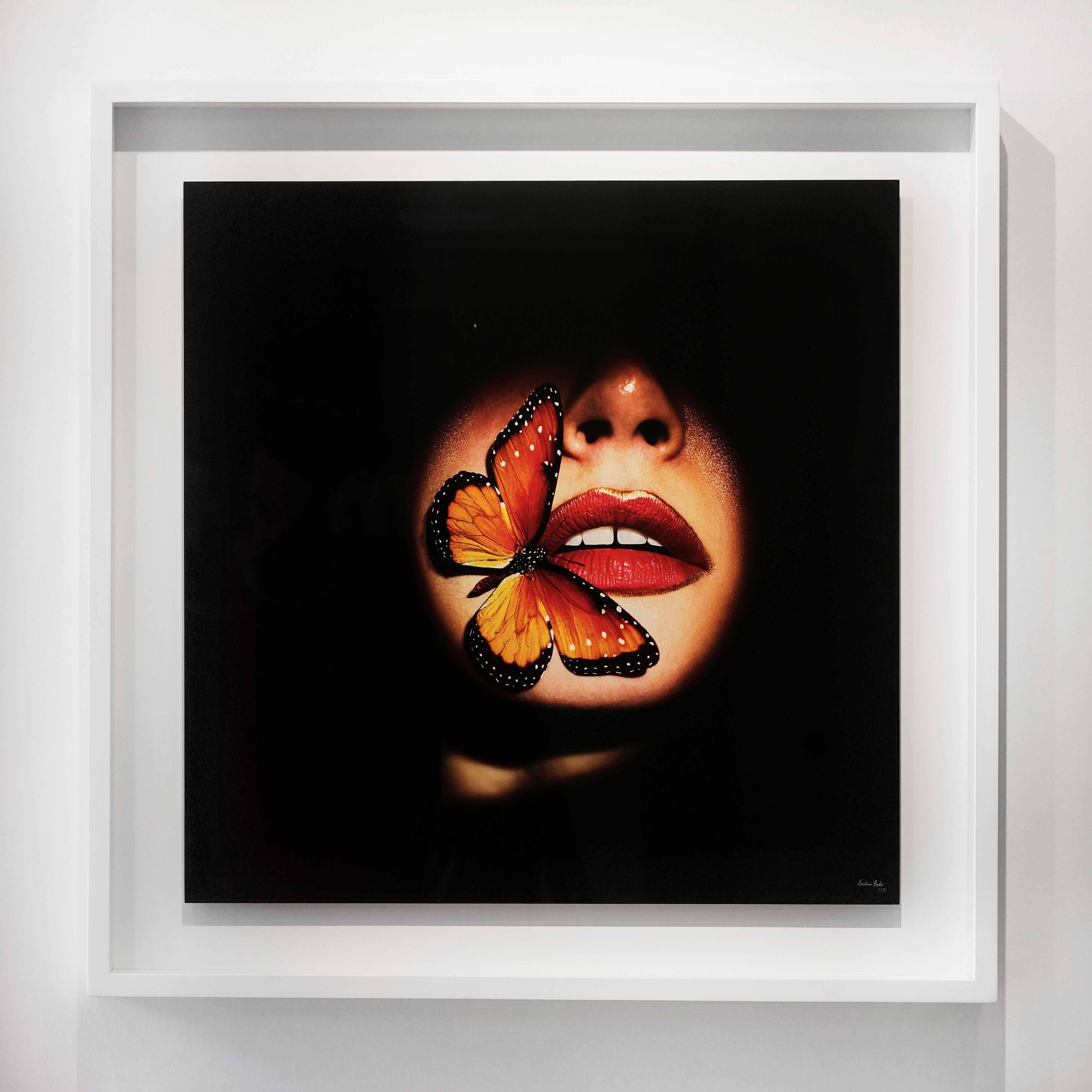 "Butterfly 40" (FRAMED) Photography 16" x 16" in Edition 1/20 by Giuliano Bekor