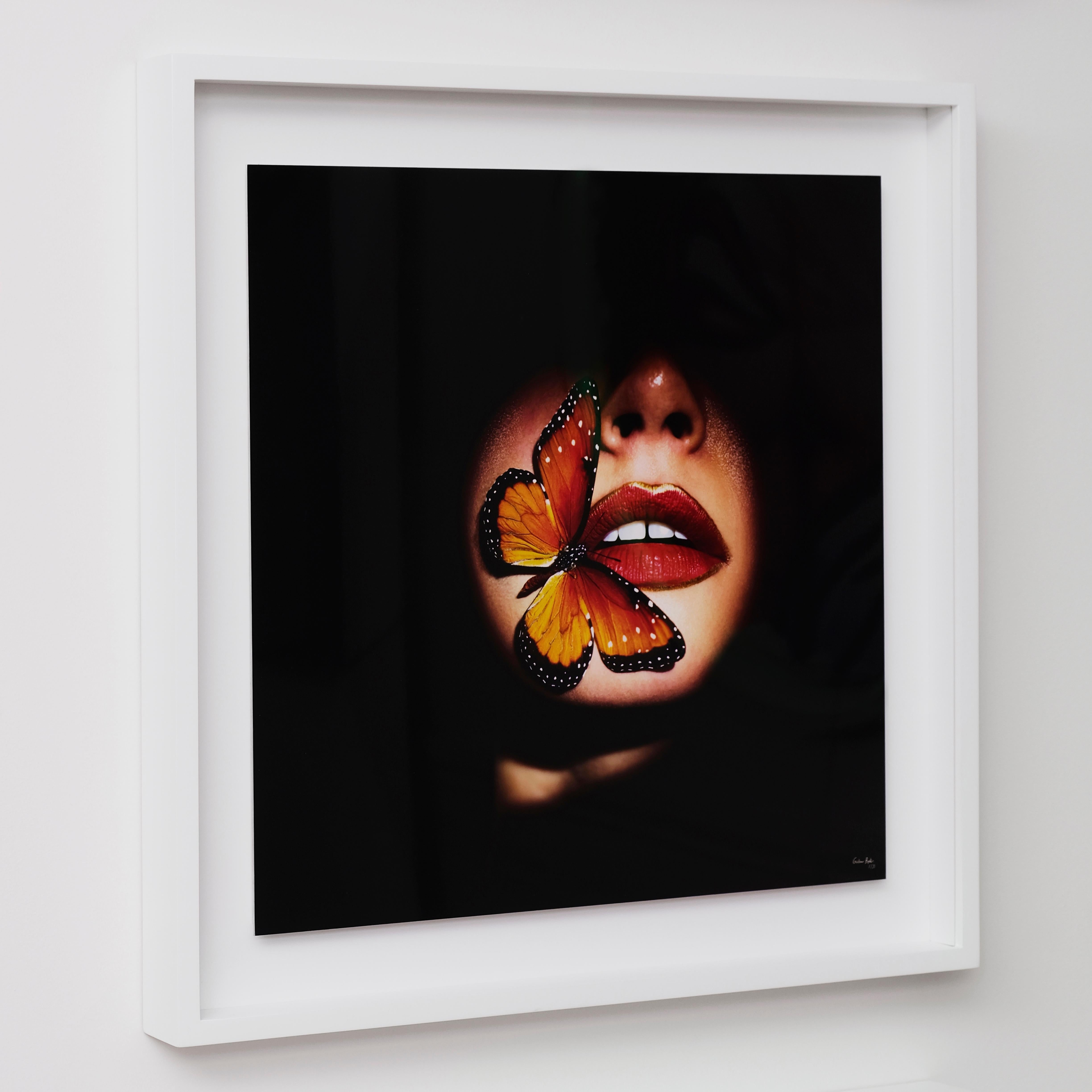 „Schmetterling 40“ (FRAMED) Fotografie 16