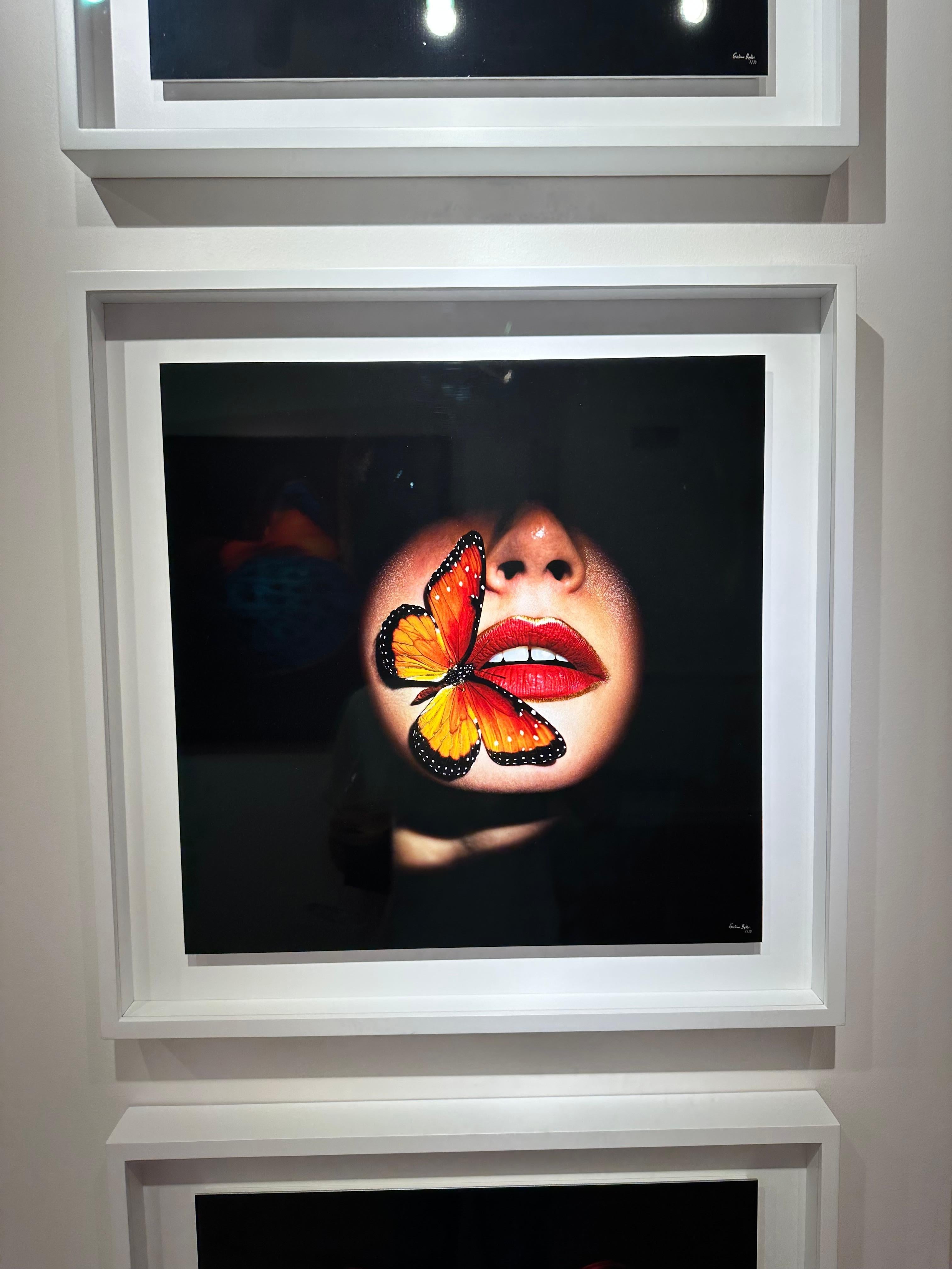 „Schmetterling 40“ Fotografie 24