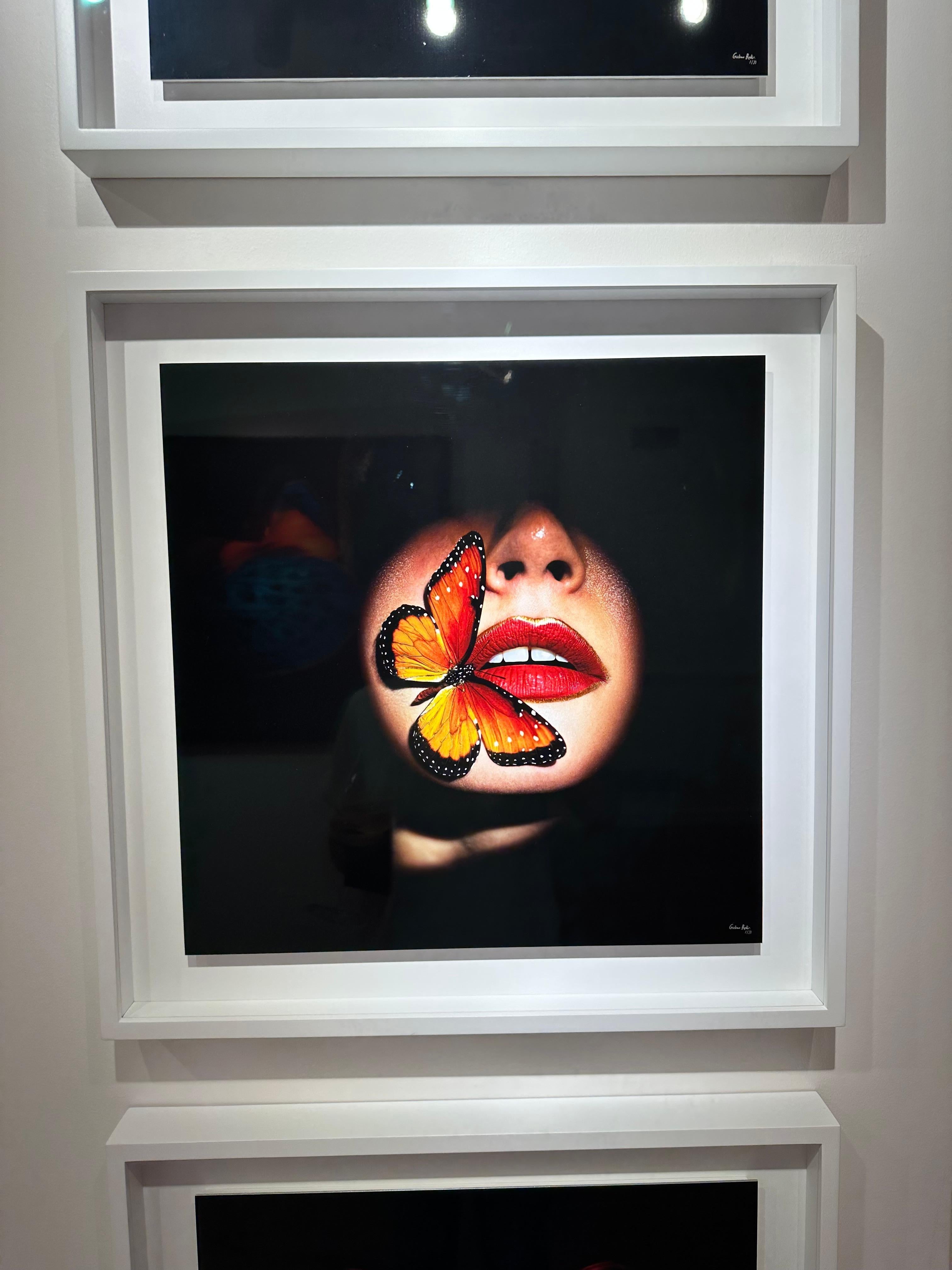 „Schmetterling 40“ (FRAMED) Fotografie 16