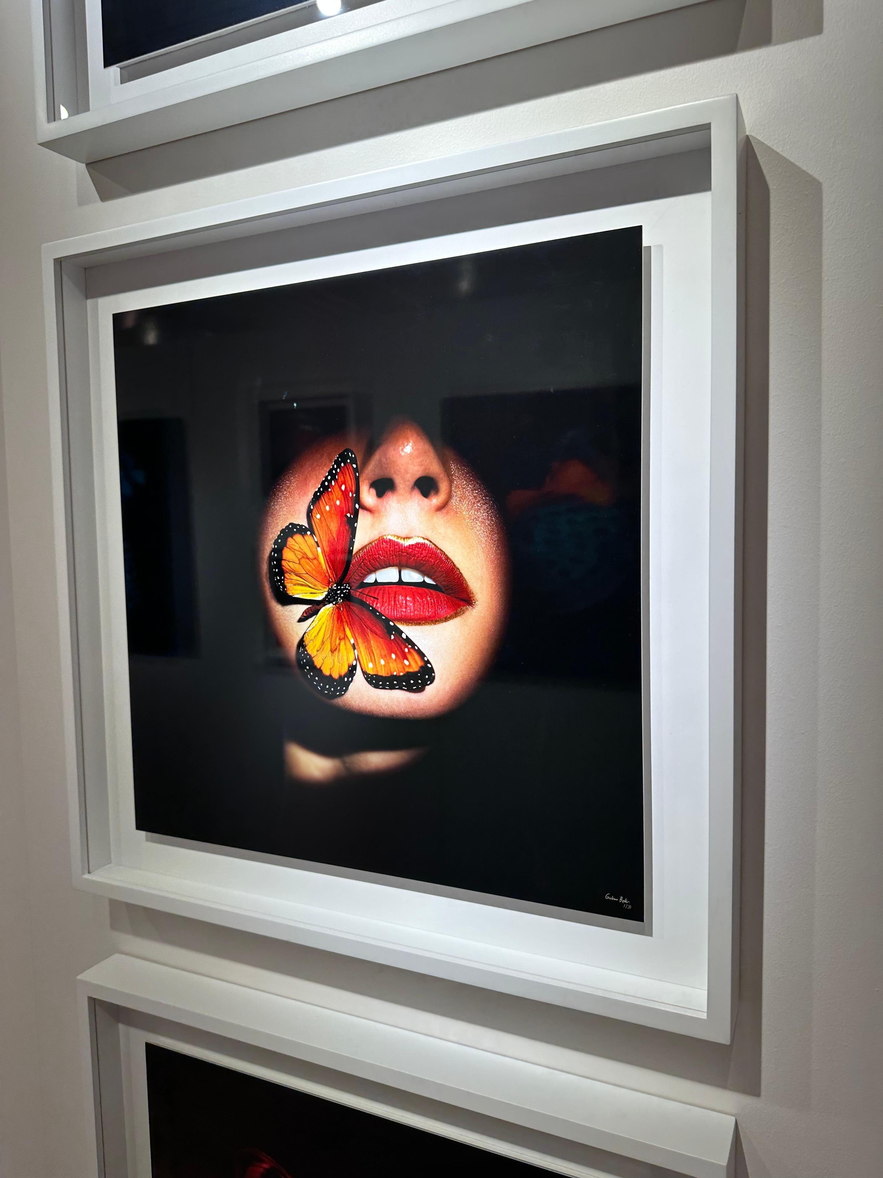 „Schmetterling 40“ (FRAMED) Fotografie 16