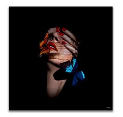 "Butterfly 6" Photography 24" x 24" in Edition 1/24 by Giuliano Bekor