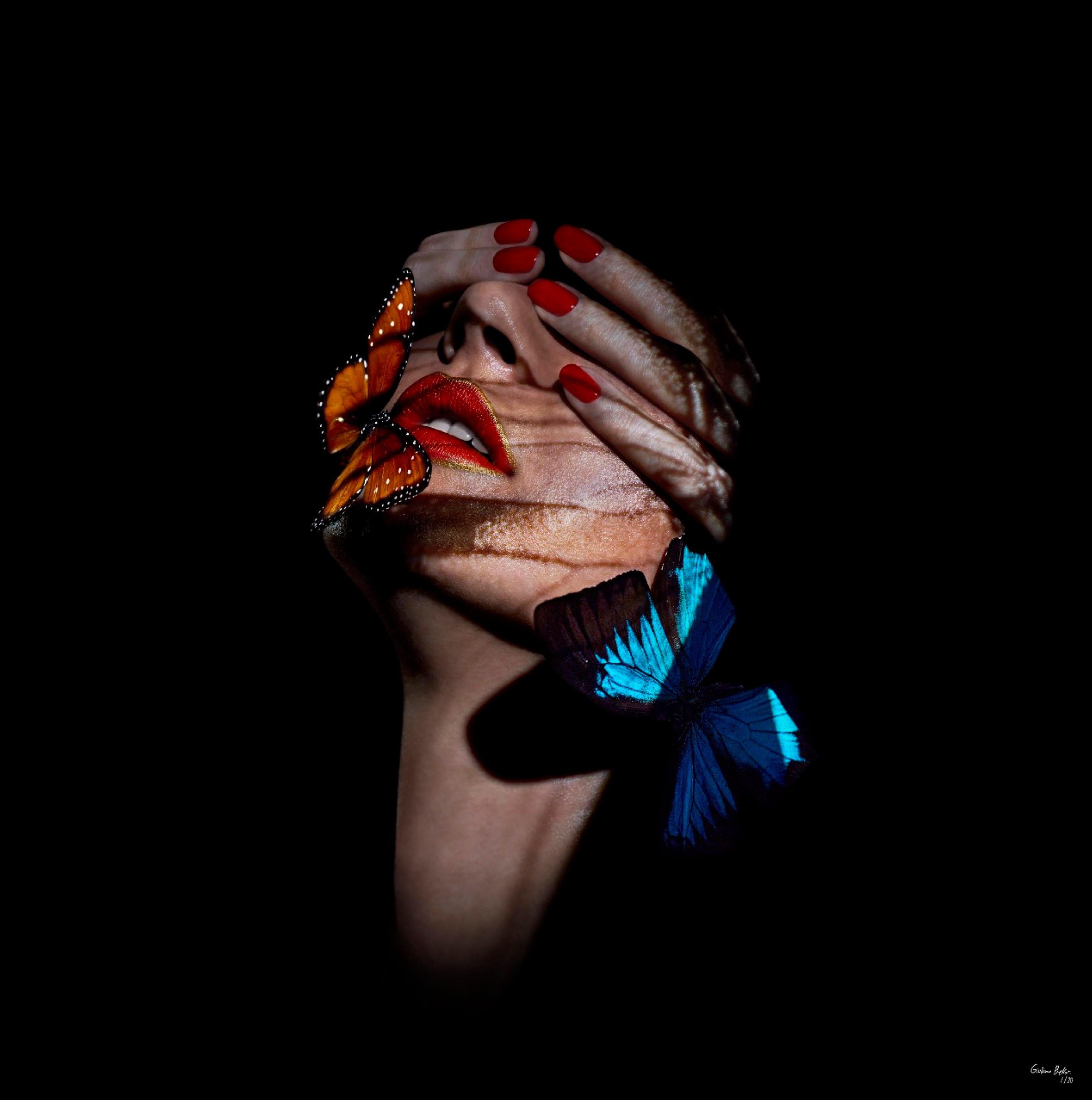 "Butterfly 6" (FRAMED) Photography 16" x 16" in Edition 1/20 by Giuliano Bekor

Title: Butterfly B12
Year: 2018
Print size: 16" x 16" Inch
Framed size: 20" x 20" Inch 
Edition: 1/20
Artist proof: 2

Medium:  
Archival fine art Fujiflex print on