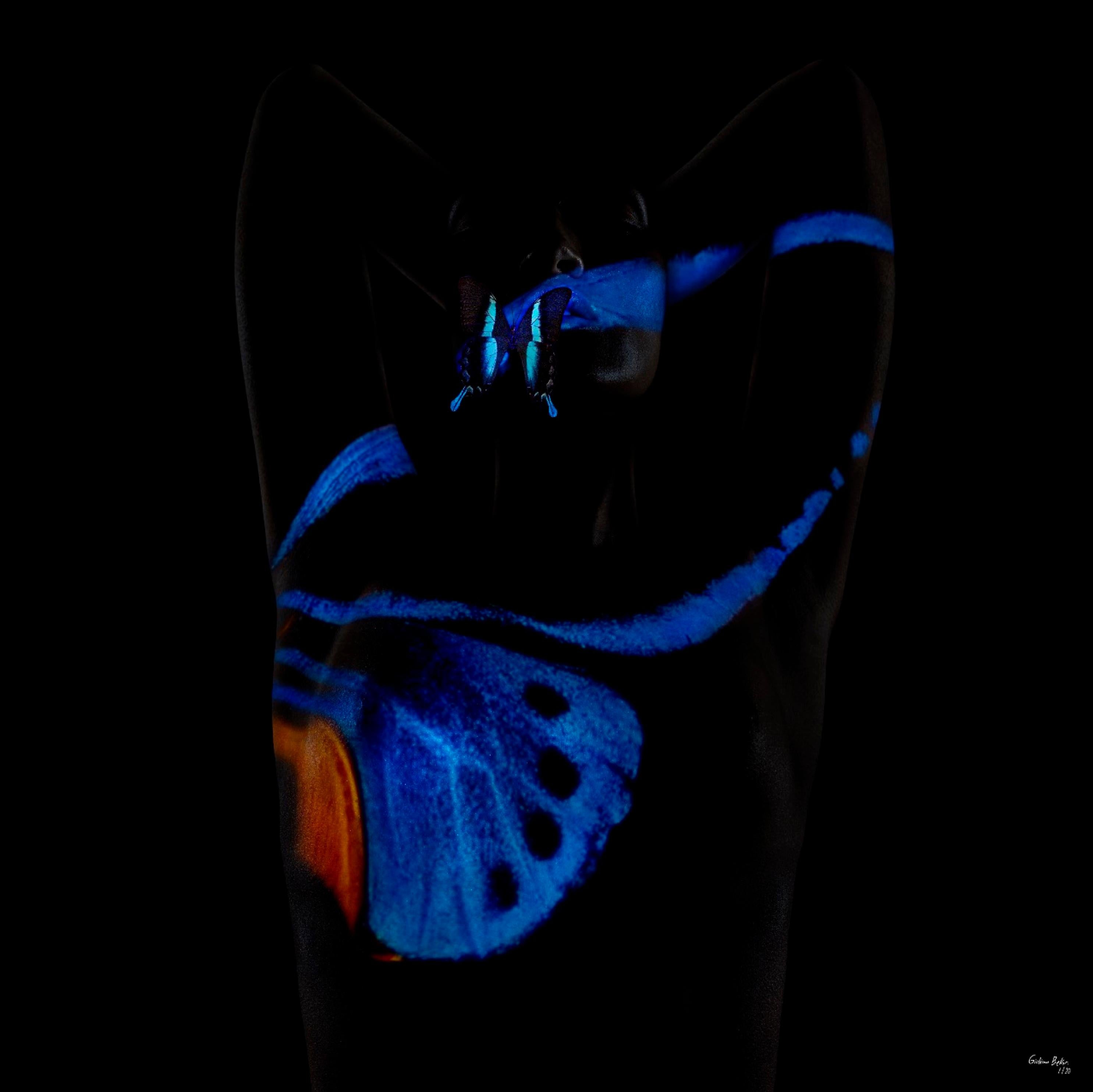 "Butterfly 7" Photography 24" x 24" inch Edition 1/24 by Giuliano Bekor