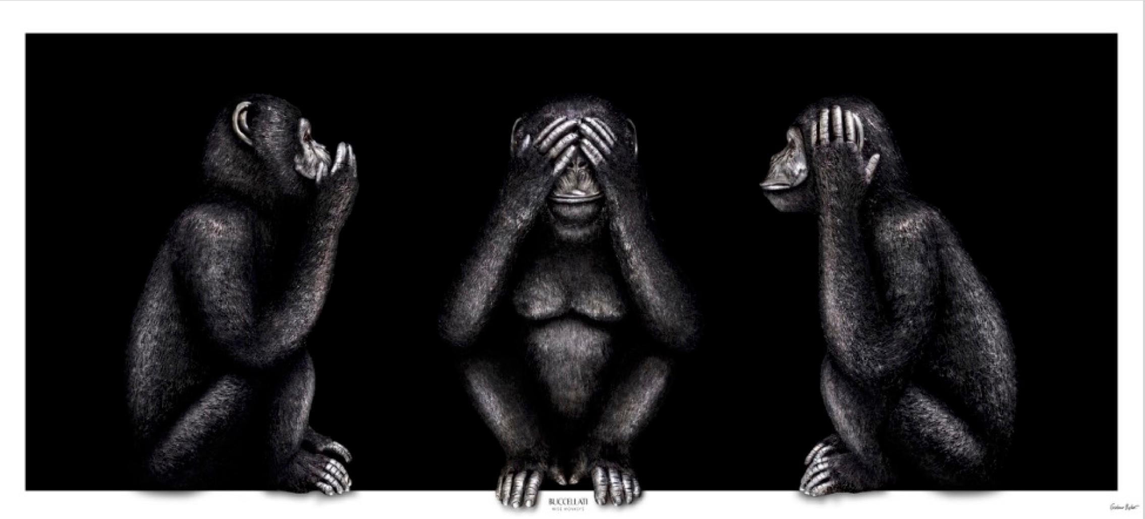 "BWM-S2" Photography 23" x 49" inch Edition 1/4 by Giuliano Bekor

Original fine art photography by Giuliano Bekor
Signed and numbered by the artist


Series: Buccellati Wise Monkey
Title: Buccellati Wise Monkey BWM-S2
Year: 2021
Print size: 22" x