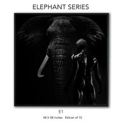 "E1" Black & White Photography 48" x 48" in Edition 1/10 by Giuliano Bekor