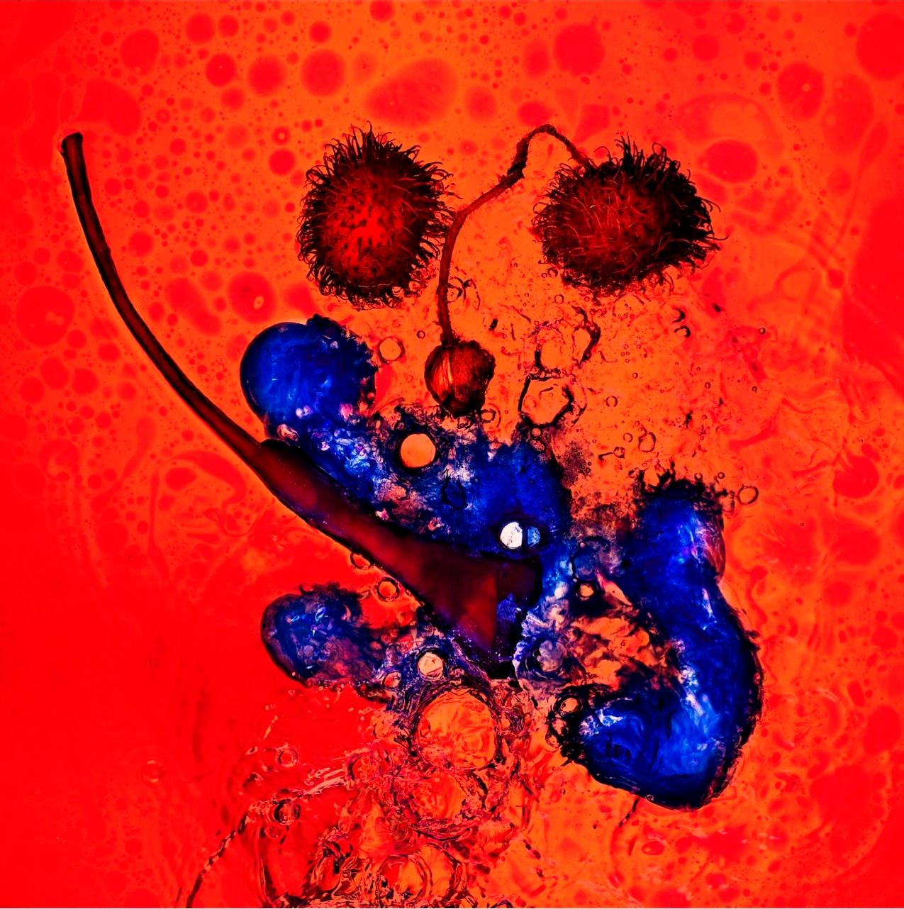 "Echoes 5" Abstract Photography 40" x 40" inch Edition 3/20 by Giuliano Bekor