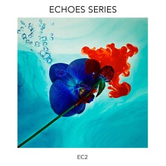 "Echoes No.02" Abstrakte Fotografie 40" x 40" in Auflage von 20 von Giuliano Bekor