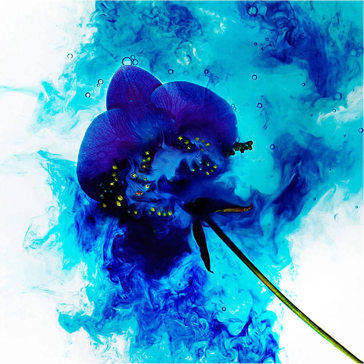 "Echoes No.03" Abstract Photography 40" x 40" in Edition of 20 by Giuliano Bekor


Original fine art photography by Giuliano Bekor
Signed and numbered by the artist

This artwork printed on a highest resolution fine art museum quality Fujiflex