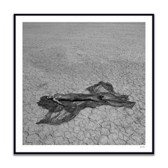 "ELM15" Fotografia in bianco e nero 40" x 40" pollici Ed. 1/8 di Giuliano Bekor