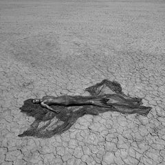 "ELM15" Fotografia in bianco e nero 40" x 40" pollici Ed. 1/8 di Giuliano Bekor