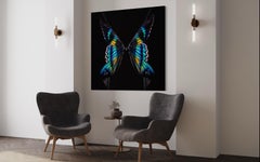 GIULIANO BEKOR – Schmetterling oder Breast