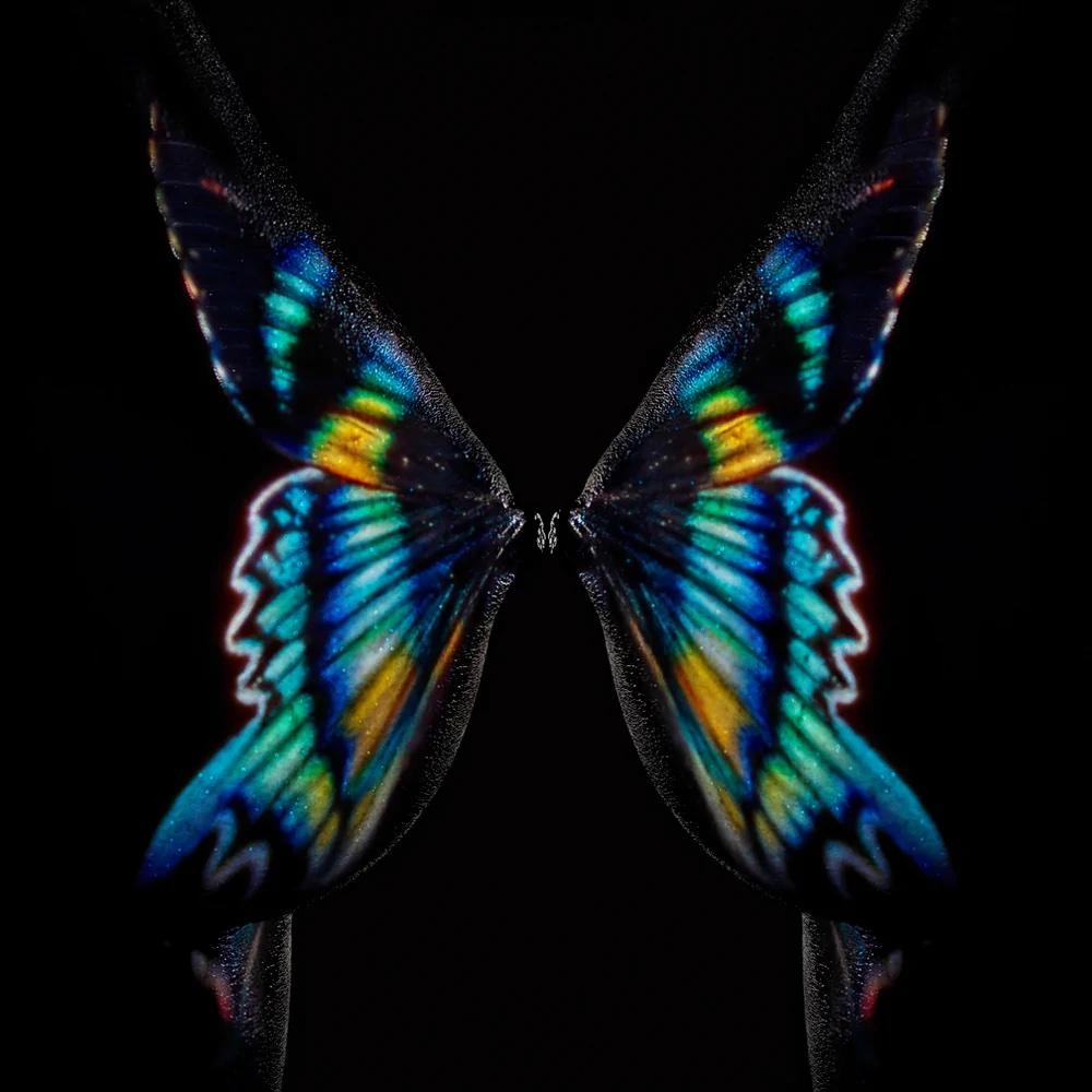Giuliano Bekor Color Photograph - GIULIANO BEKOR - Butterfly or Breast