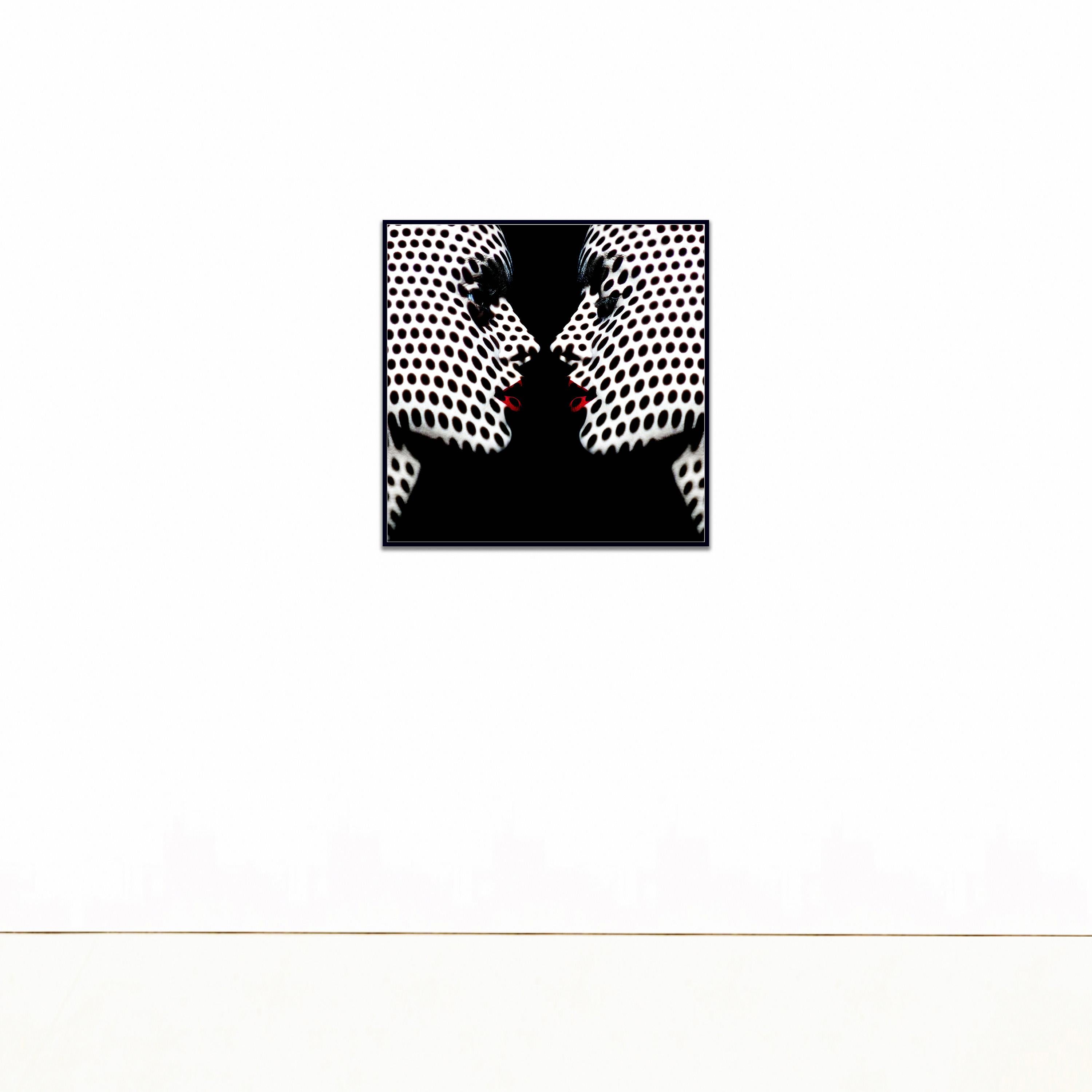 « Modernismo M18 » Photographie 24