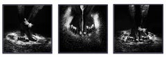 "OT3ABC Triptych" Photography 24" x 24" inch Edition of 10 by Giuliano Bekor